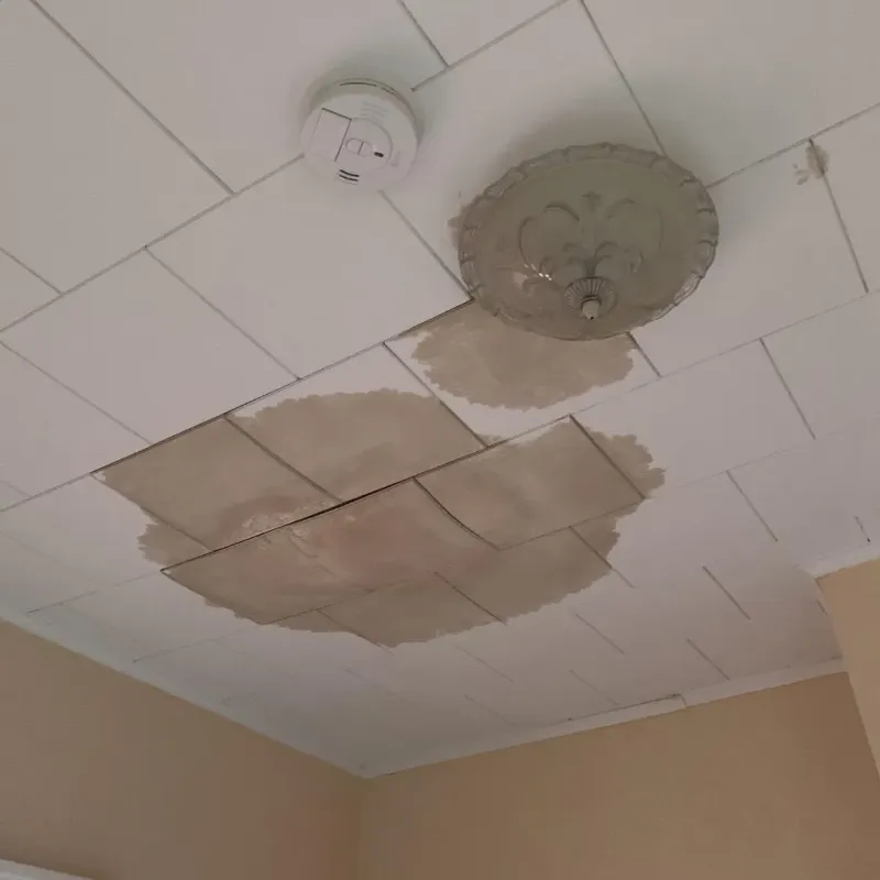 Ceiling Water Damage Repair in East Hampton, NY