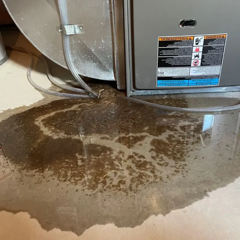Pipe Burst and Leak Restoration in East Hampton, NY